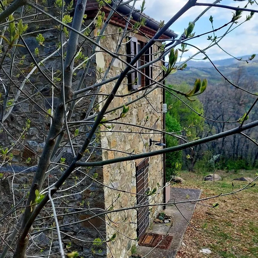Podere Frassinelli, Casa Nel Bosco Arcidosso