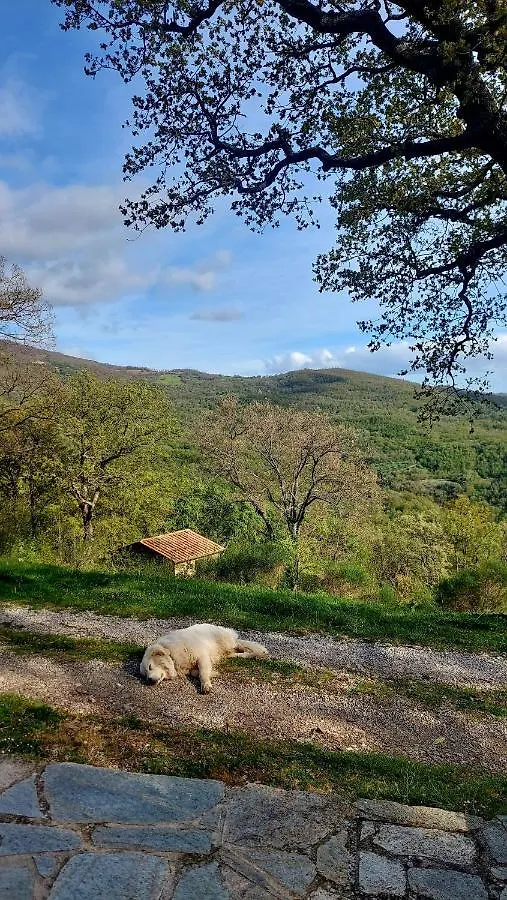 Podere Frassinelli, Casa Nel Bosco Arcidosso Βίλα