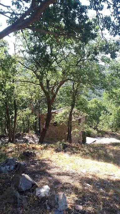 Podere Frassinelli, Casa Nel Bosco Arcidosso Βίλα